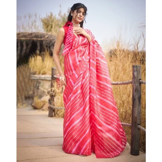 Women Embroidered Sheer-Through Saree